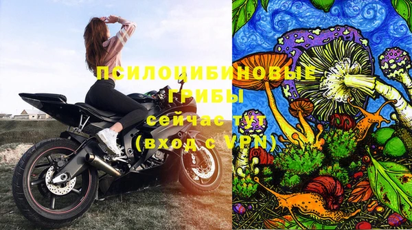 сатива Алзамай