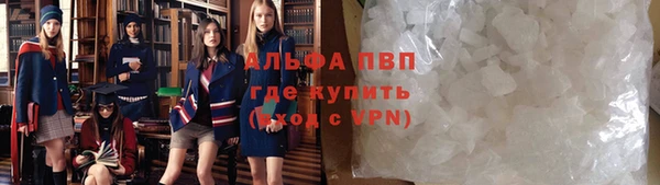 сатива Алзамай