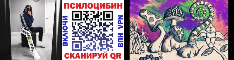 продажа наркотиков Чадан Галлюциногенные грибы Psilocybine cubensis